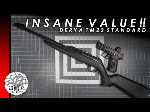 INCREDIBLE VALUE! Lightweight .22LR Rifle Under $150?? Derya TM22 Standard | First Impressions