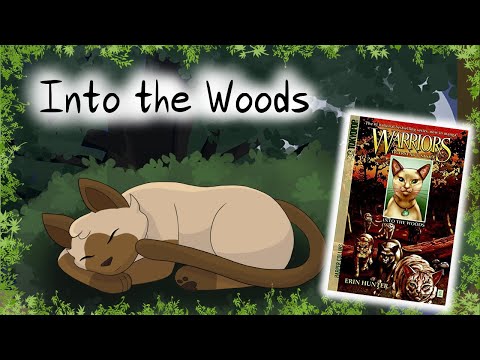 Into the Woods – Trip Through Time | Warriors Analysis