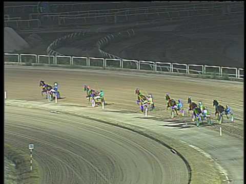 Trotto 08/07/2017 - 5ª prova di qualifica