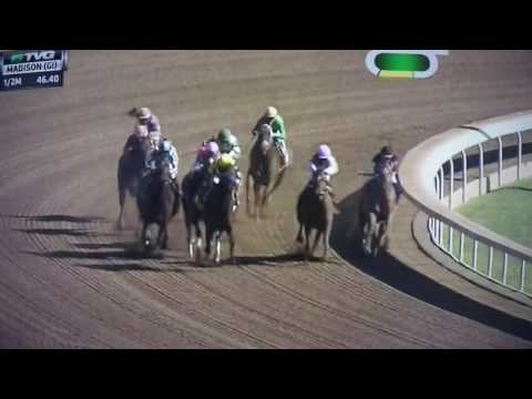 MADISON S .G1 STAKES PAULASSILVERLINING !!!