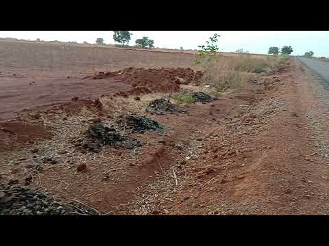  Agricultural Land 3 Acre for Sale in Humnabad, Bidar