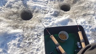 Оснастка для зимней фидерной ловли