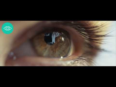 Phase Shift 2017 Video