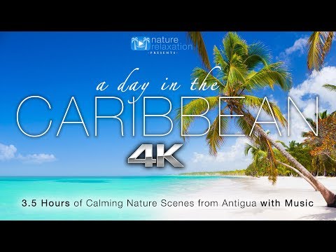"A Day in the Caribbean" 4K 3.5 HR Nature Relaxation™ Ambient Film + Calming Music
