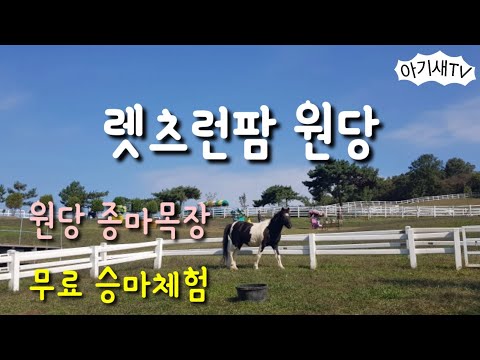 렛츠런팜 원당 | 원당 종마목장 | 아이랑 갈만한 곳 | 서울근교나들이