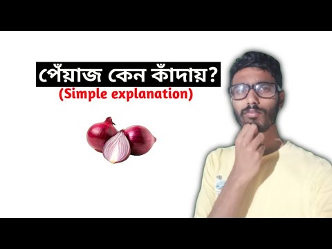 Why do onions make us cry?