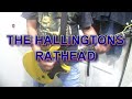 THE HALLINGTONS - RATHEAD~TEENAGE BOTTLEROCKET COVER~ (Guitar Cover)