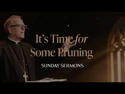 It’s Time for Some Pruning - Bishop Barron's Sunday Sermon
