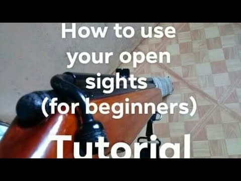 How to use your open sights for beginners (Tutorial)
