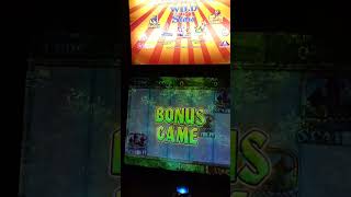 Mega Slot Win! 🎰 Robin Hood and Bar Bonuses | BIG WIN Slot Adventure!