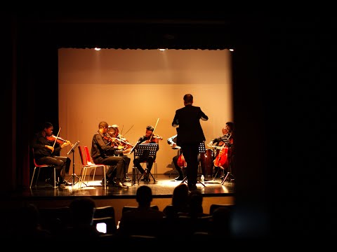 Choro de Oliveira (Os Anjos) - David López Sáez