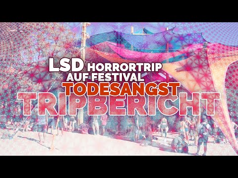 LSD Horror Trip / Experience Report / Boom Festival 2016