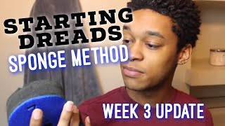 Starting Dreads with NuDred Sponge (3 WEEK update) | Dreads on Short Hair