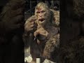 George Twisted Sense Of Humour Rampage Shorts