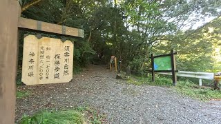 熊の出そうなところには行けない！箱根旧街道を行く(20250926)