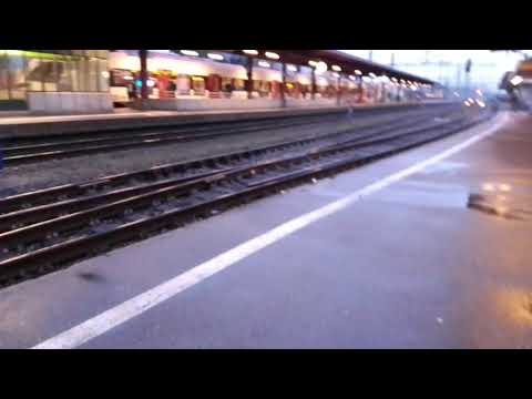 Pendolino TV#431 Rheinfelden SBB ( CH )/Gleis 3+4/ IR 36 + S1 /