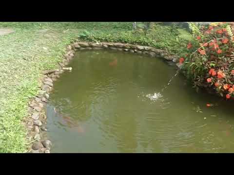 Las delicias en Pauna boyacá les recomiendo muy buena atención 