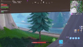 【絶滅危惧種・無言配信者のFORTNITE】コラボだああああああああ詳しくは、概要欄の一番下