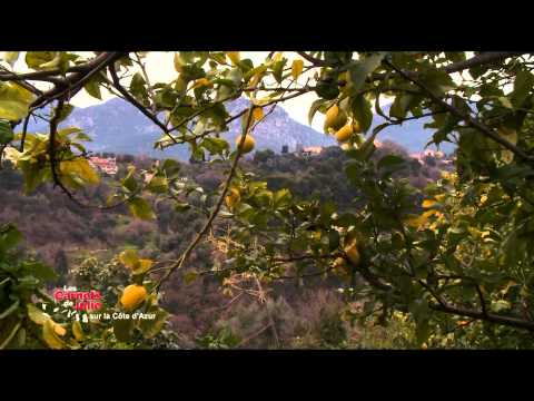 Le Pays Mentonnais - Les Carnets de Julie