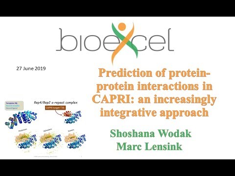 BioExcel Webinar #36: Prediction of protein-protein interactions in CAPRI