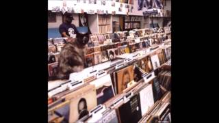 DJ Shadow - Changeling