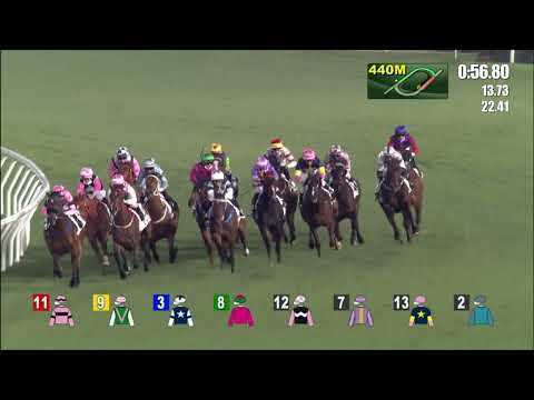 27/12/2021 (289) All Beauty - Vincent Ho