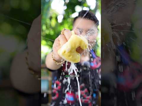 Bơ giảm stress P2 #shorts #short