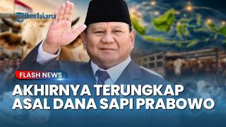Terungkap! Dana Rp100 Miliar untuk Sapi Kurban Prabowo Berasal dari Pos Anggaran Banpres