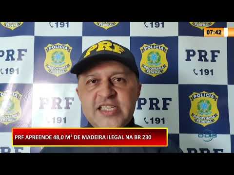 PRF apreende 48 metros cúbicos de madeira ilegal na BR-230 26 11 2020