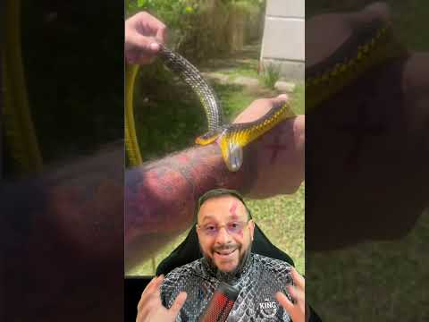 Gabriel foi picado por cobra peçonhenta?