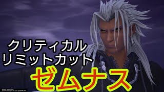ゼムナス (リミカ&クリティカル) KINGDOM HEARTS Ⅲ Re Mind [DLC]