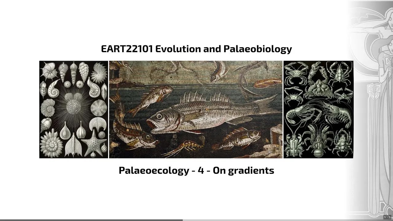 Palaeoecology, Video 4 - EART22101 - Palaeobiology and Evolution - 2024
