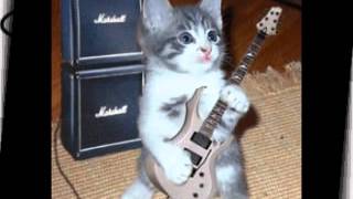 con mano izquierda De Saratoga