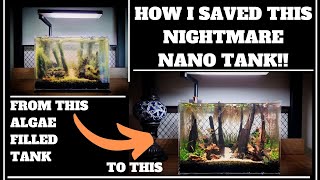 HOW I SAVED THIS NIGHTMARE FOREST DRAGON STONE NANO TANK AQUARIUM SETUP!