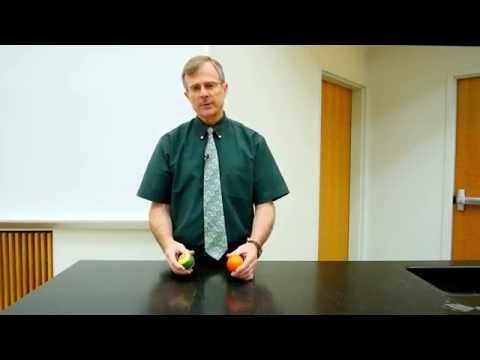 Collisions Demo: Billiard Balls