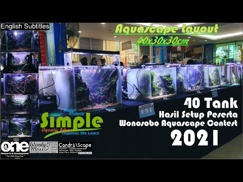 Aquascape Layout Ideas Results of the Wonosobo Aquascape Contest 2021