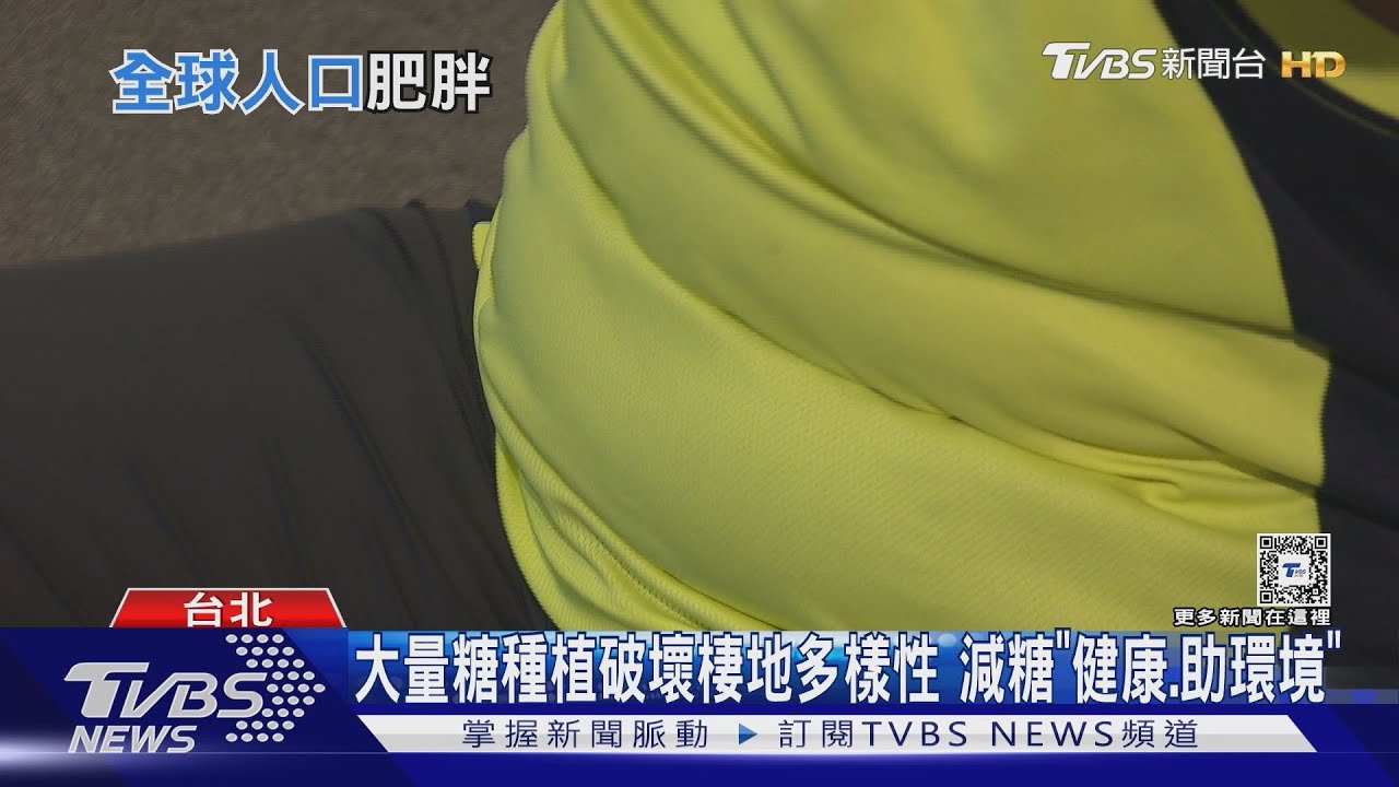健康危機! 預估2035年全球過半人口都肥胖