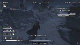 HELLDIVERS 2_サーバー重いか？ジャンピング虫