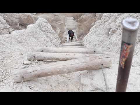 Roadtrip 2020 | Four Days: Portland to Chicago