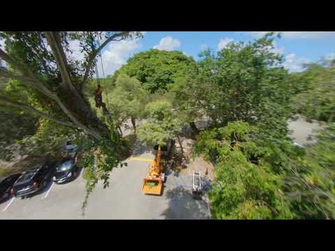 Above Ground Productions LLC video.