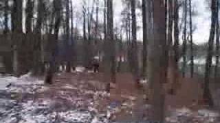 You and Me (Nicola Manfredi)-during training in Zlûk, Czech