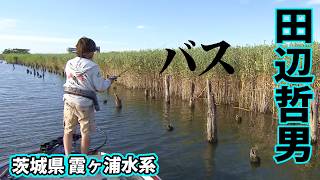 釣果情報