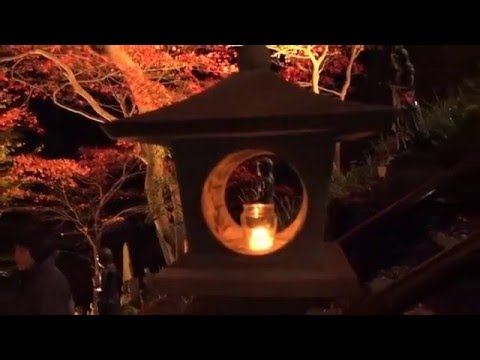 Autumn foliage of Oyama (Sanno University)