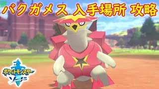 バクガメス ポケットモンスター カメテテ ニンフィア タツベイ