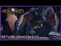 Hogwarts Legacy Return Dragon Egg