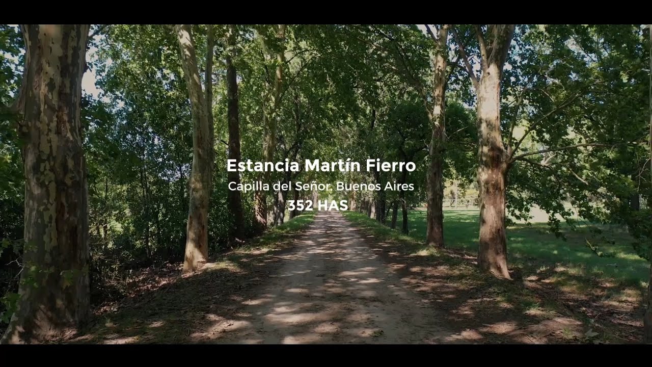 Conte Bienes Raíces - Estancia Martin Fierro 352 Has