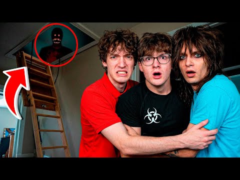 SOMEONE IS LIVING IN OUR ATTIC…