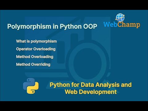 Python 17 Polymorphism In Python Compile Time And Run Time Polymorphism In Python
