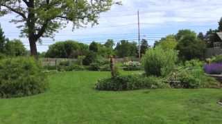 Landscaping Design - Get Inspired