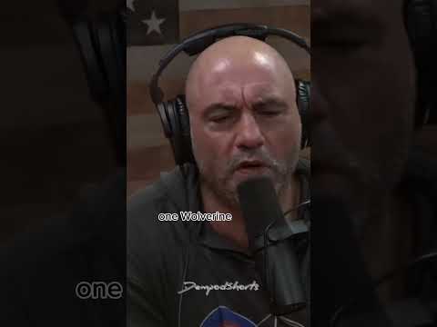 Wolverines: Tenacious little monsters | #wildlife #nature #wildanimals  #joerogan